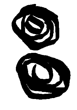 [2 roses: 22k]