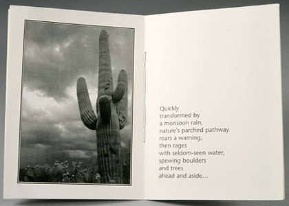 [Camino del Oeste by Donn Sanford - photo of saguaro in monsoon clouds: 32k]